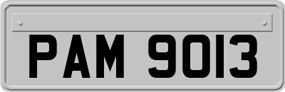 PAM9013