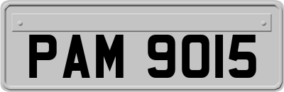 PAM9015