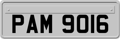 PAM9016