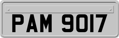 PAM9017