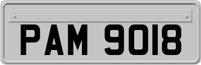 PAM9018
