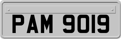 PAM9019