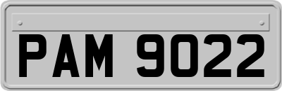 PAM9022
