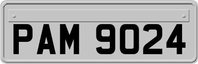 PAM9024