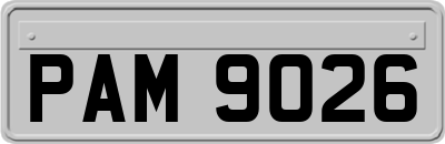 PAM9026