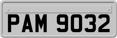 PAM9032