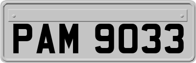 PAM9033
