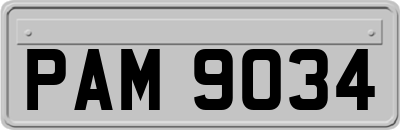 PAM9034
