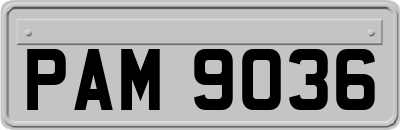 PAM9036