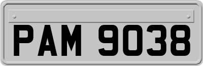 PAM9038