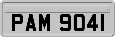 PAM9041