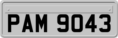 PAM9043
