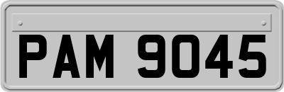 PAM9045
