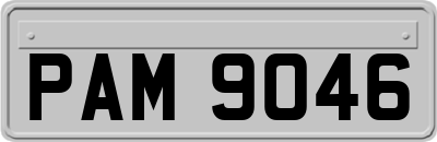 PAM9046