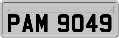 PAM9049