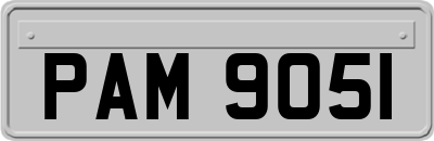 PAM9051
