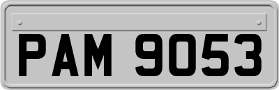 PAM9053