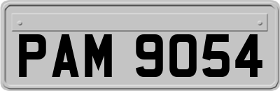 PAM9054