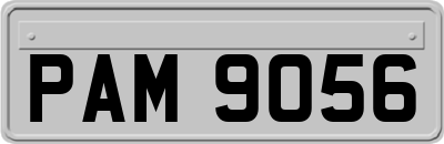 PAM9056