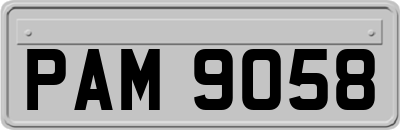 PAM9058