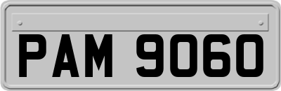 PAM9060
