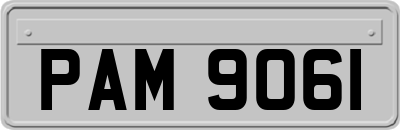 PAM9061
