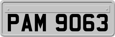 PAM9063