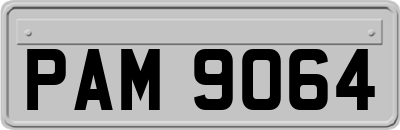 PAM9064