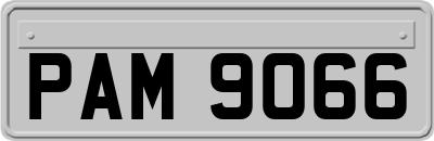 PAM9066