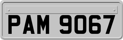 PAM9067