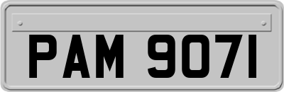 PAM9071