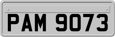 PAM9073