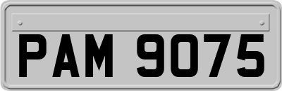 PAM9075