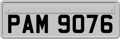 PAM9076