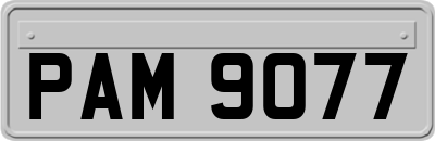 PAM9077