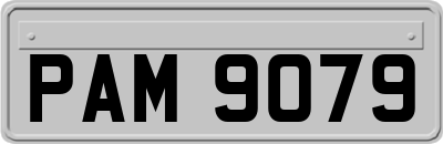 PAM9079