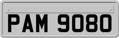 PAM9080