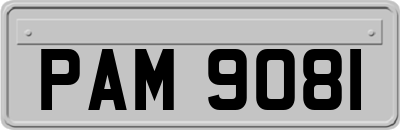 PAM9081