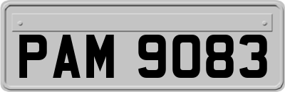 PAM9083