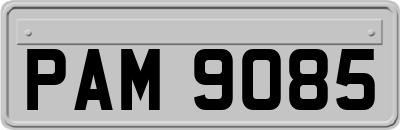 PAM9085