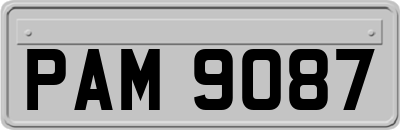 PAM9087