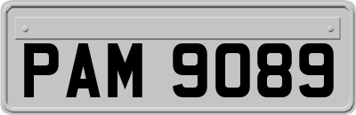 PAM9089