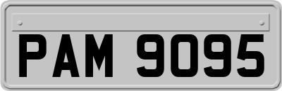 PAM9095