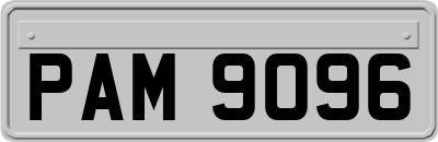 PAM9096