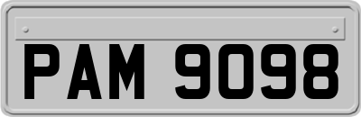 PAM9098
