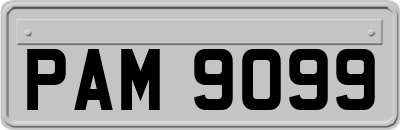 PAM9099
