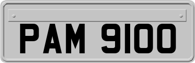 PAM9100