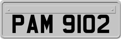 PAM9102