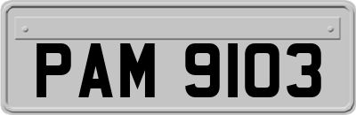 PAM9103