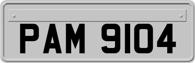 PAM9104